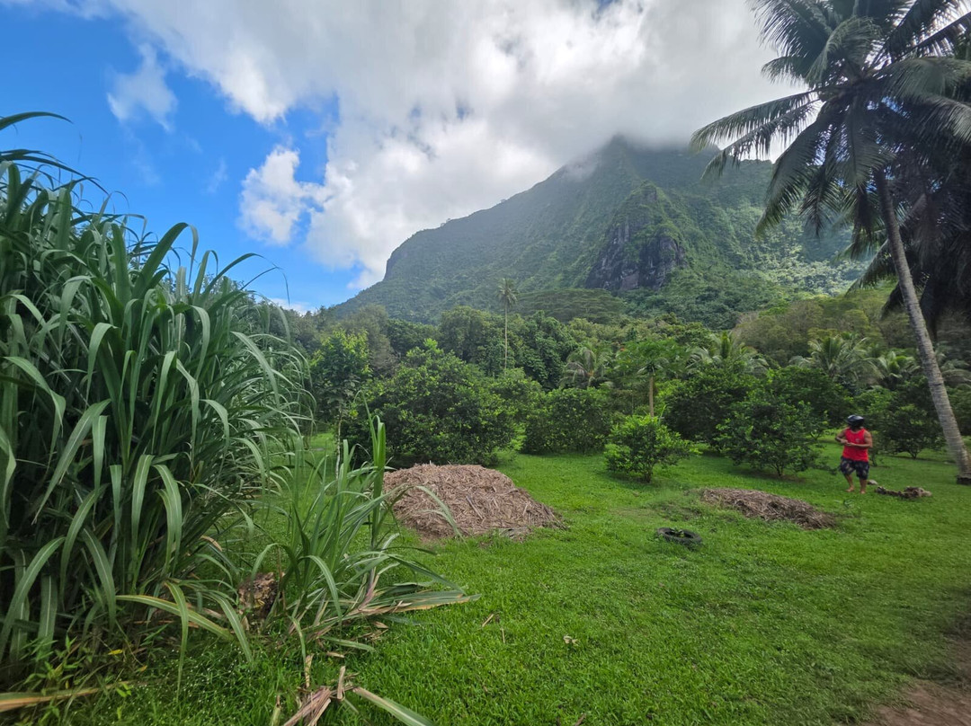 Moorea Mahana Tours-Hauru必去景点