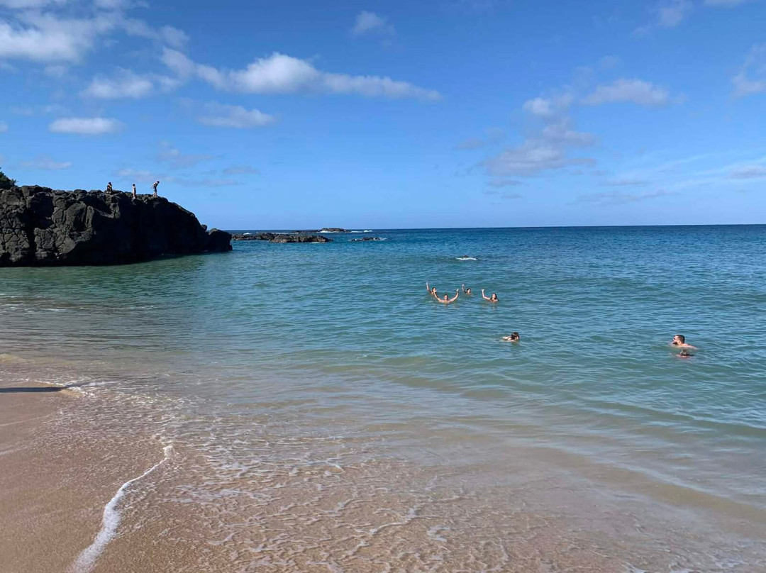 Kevo's Beach Bus-火奴鲁鲁必去景点