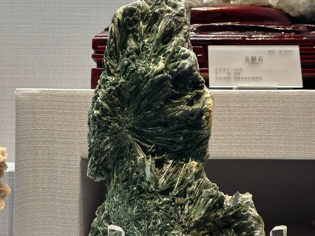 湖南省地质博物馆-长沙市必去景点