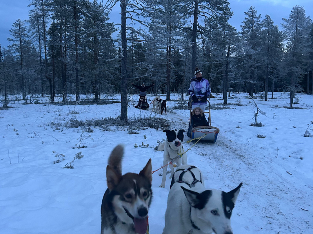 Trysil Husky-Torberget必去景点