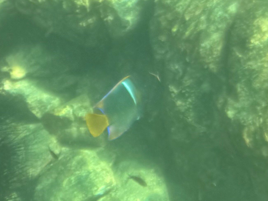 ConchalFun-孔查沙滩必去景点