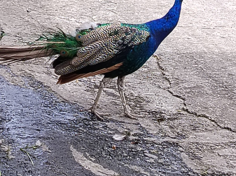 Hacienda El Rejo主图