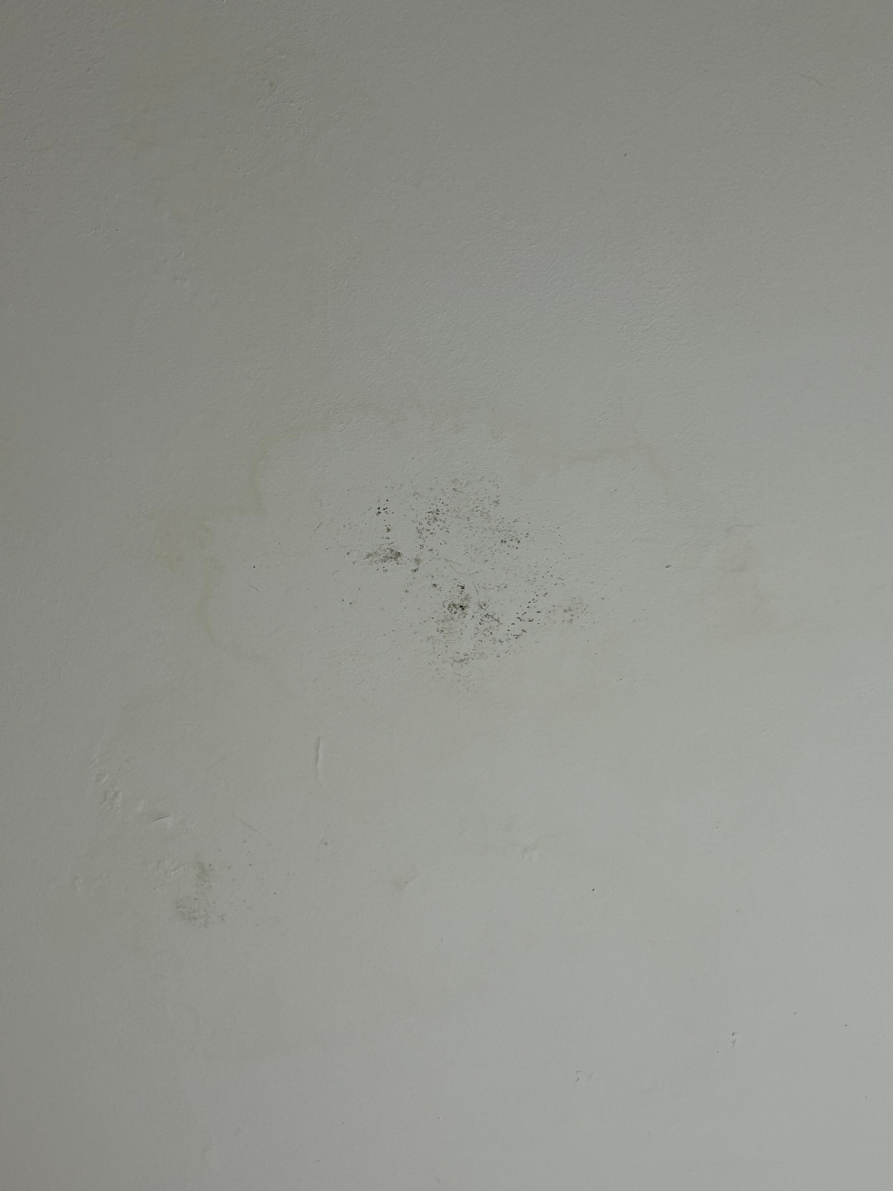 Hotel Riviera-官方