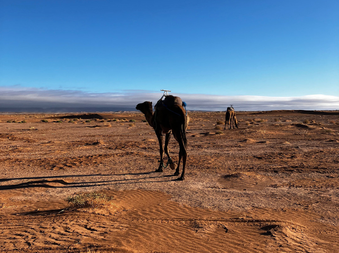 Sahara With Locals-马拉喀什必去景点