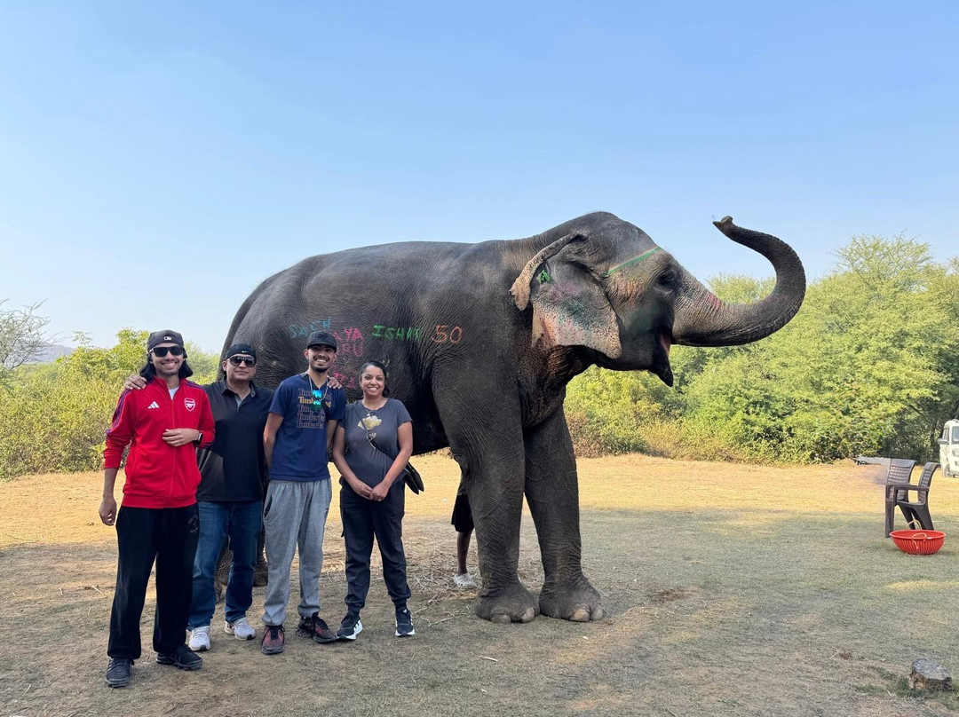Elefanjoy Elephant Sanctuary-斋蒲尔必去景点