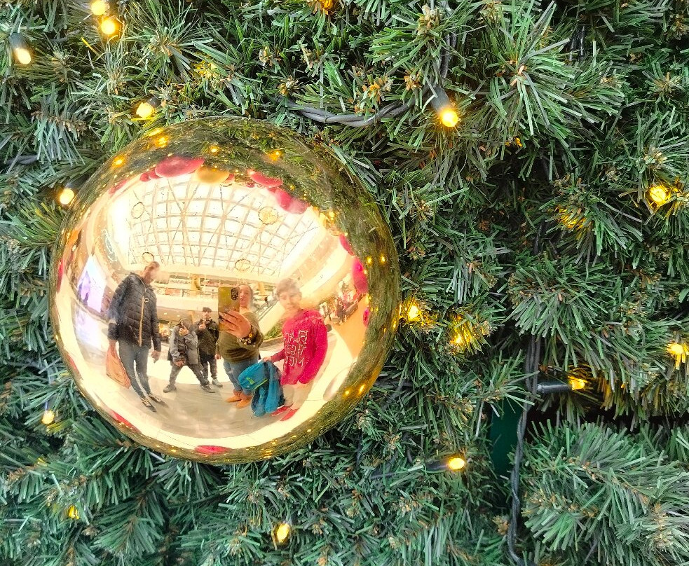 SCS Shopping Center Sued-Voesendorf必去景点