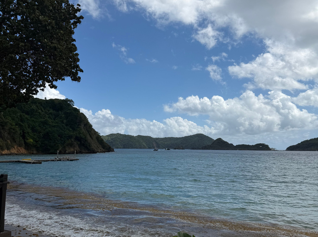 Eureka Natural History Tours-斯卡伯勒必去景点