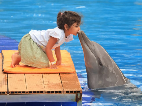 Bali Exotic Marine Park-登巴萨必去景点