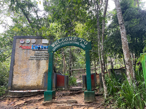 Bukit Lawang - Jungle Trekking-武吉拉旺必去景点