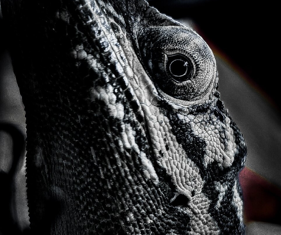 Pili Palas Nature World-Menai Bridge必去景点