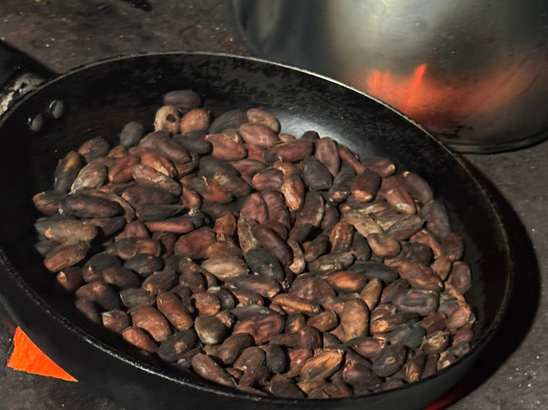 Selva Connections-希门尼斯港必去景点