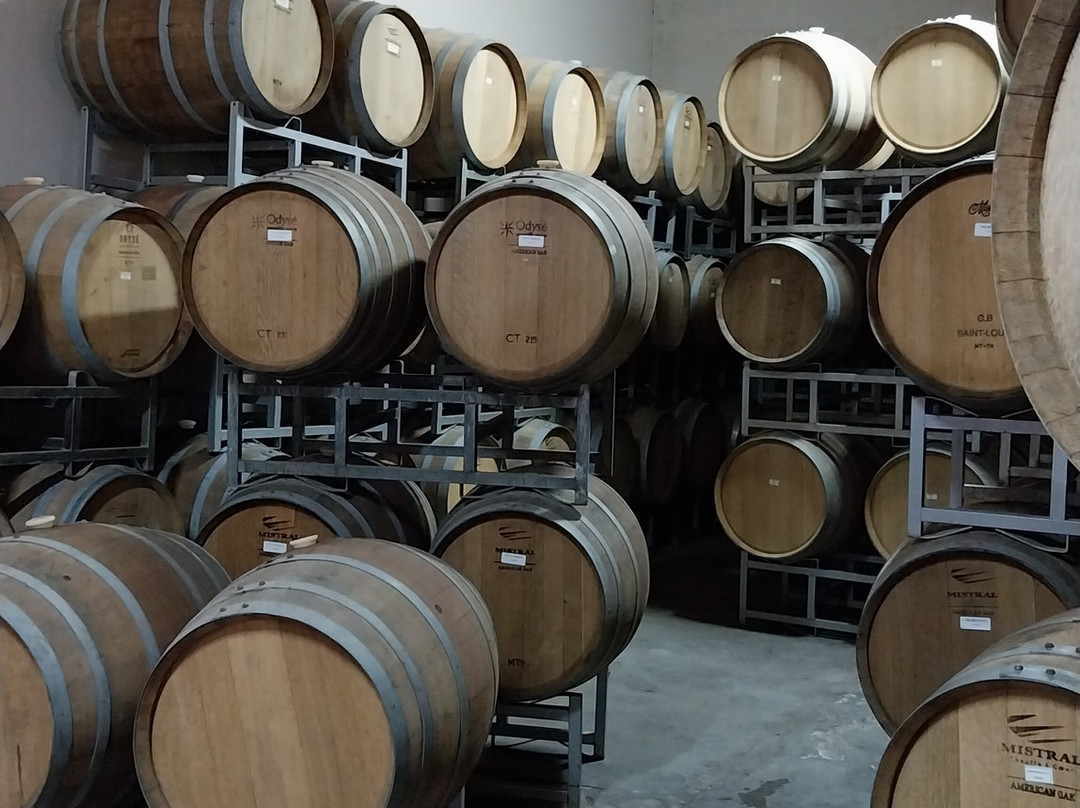 Bodega Alfredo Roca-圣拉斐尔必去景点