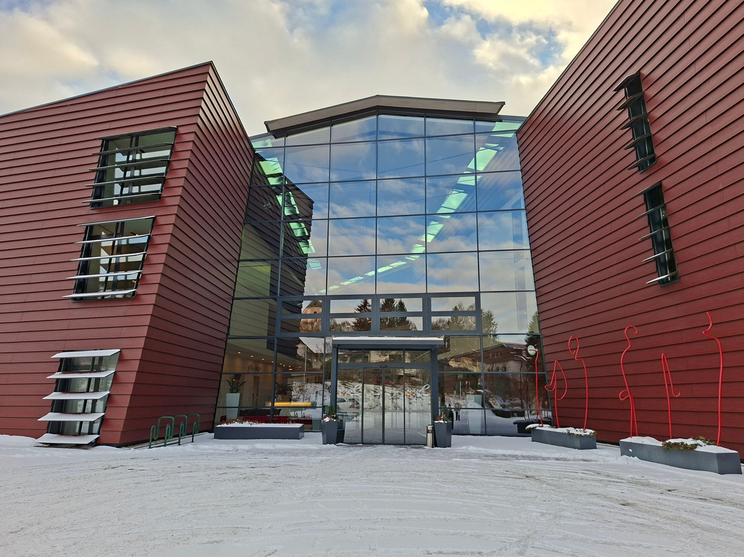 Spa Hotel Bruendl主图