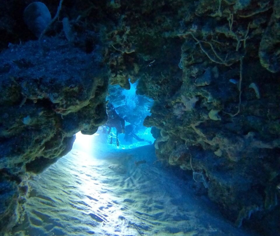 King Scuba Dive Center-从莫雷洛斯港必去景点