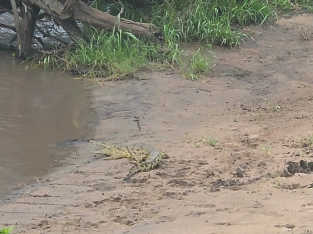Shayona Safaris & Tours-姆万扎必去景点