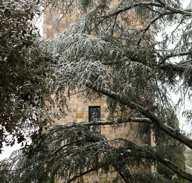 La Torre Alle Tolfe主图