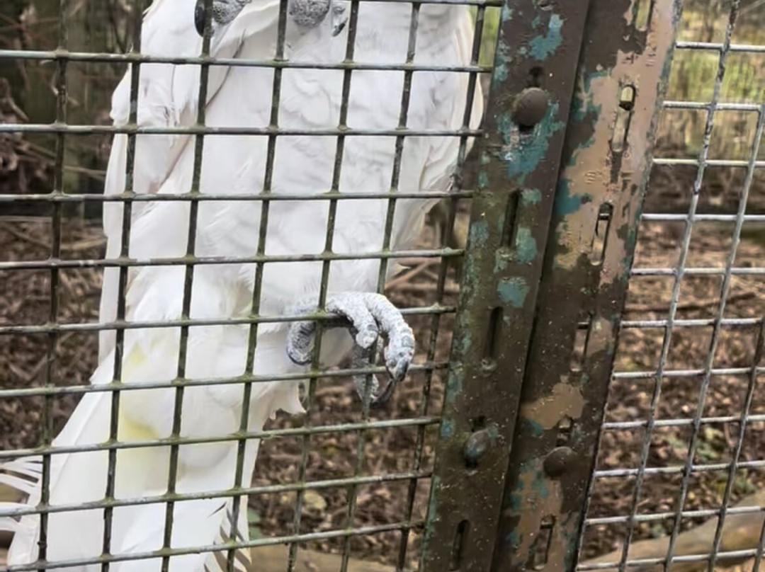 鸟园-水上伯顿必去景点