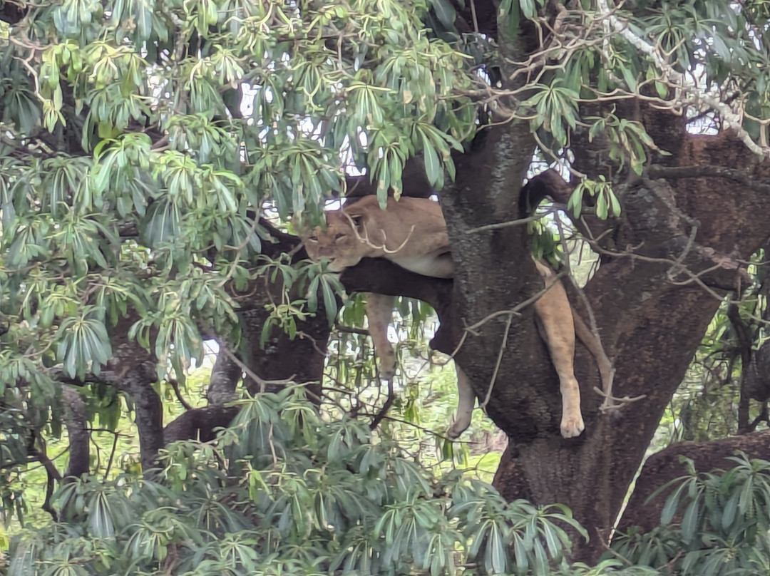 Fortes Africa-姆万扎必去景点