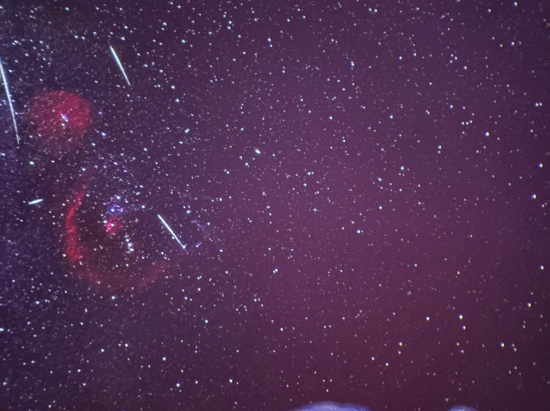 Grizedale Observatory-安布赛德必去景点