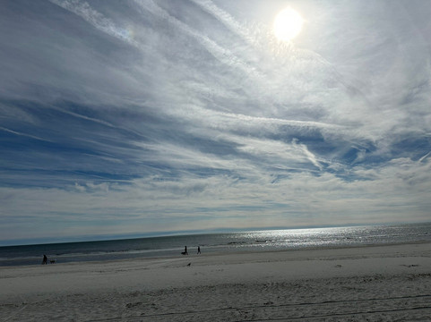 Island Life Bike Rentals & Dolphin Tours-希尔顿头岛必去景点