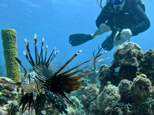 Varadero Diving Tour-Playa Larga必去景点
