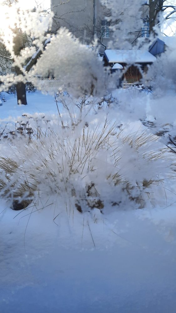 Berg & Spa Hotel Gabelbach-官方