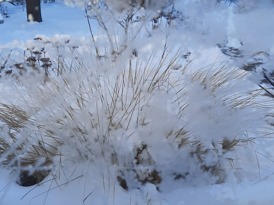 Berg & Spa Hotel Gabelbach主图