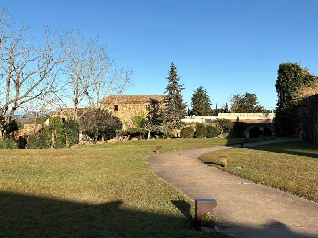 Avalon Holistic Ayahuasca Retreats-巴塞罗那必去景点