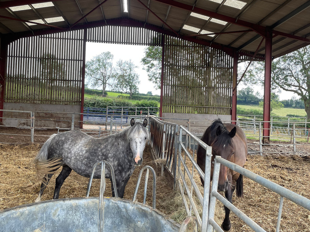 Pioneer Equestrian Coaching-Charlbury必去景点