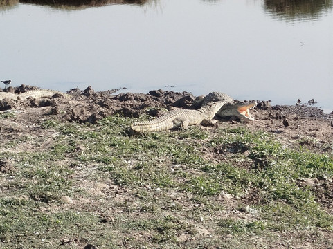 Lassic Africa Tours-内罗毕必去景点
