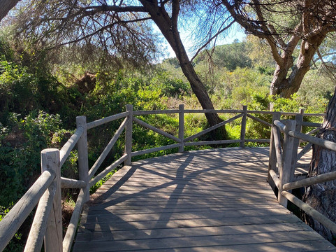 Dunas De Artola-马贝拉必去景点