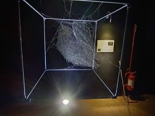 Citta Della Scienza-那不勒斯必去景点