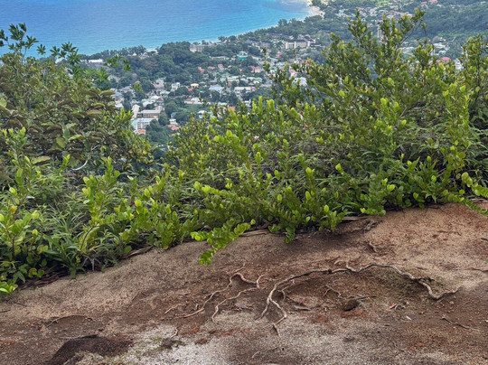 Dans Gallas Trail-博瓦隆必去景点
