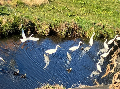 Tachikawa Park-立川市必去景点