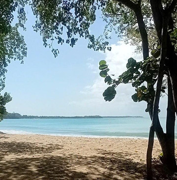 Miller's Guest House主图