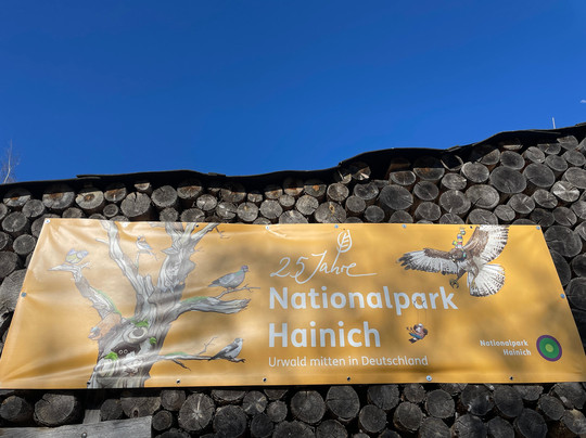 Nationalpark Hainich-Bad Langensalza必去景点