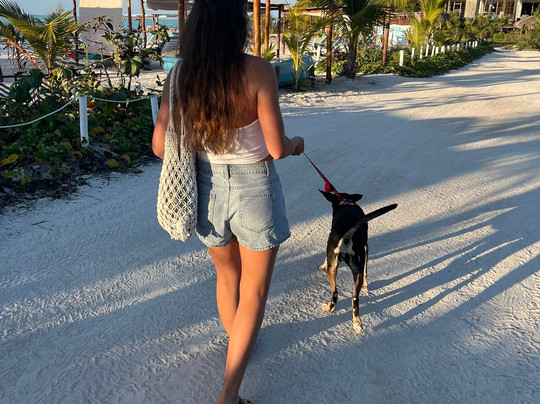 Refugio Holbox-Holbox Island必去景点