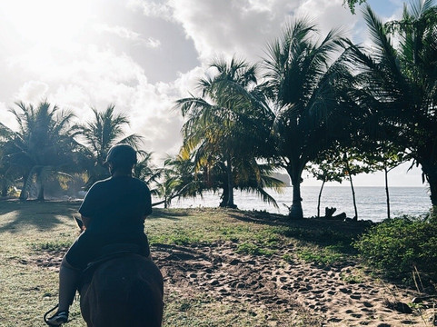 Esperanza Riding Company-维切克岛必去景点