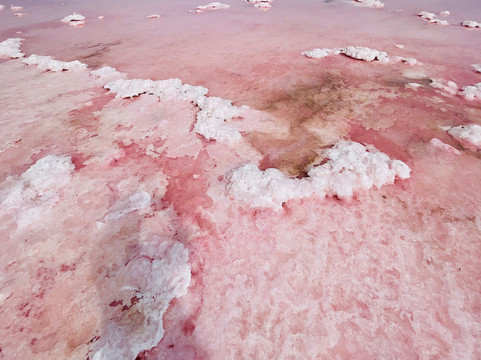 Pink Lake-卡尔巴里必去景点