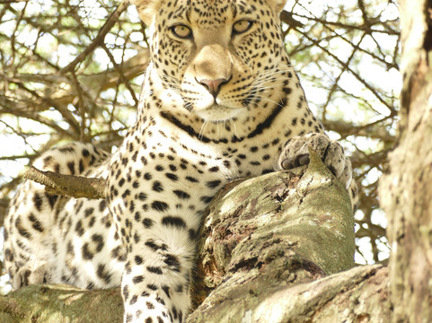 Earthlife Expeditions-阿鲁沙必去景点