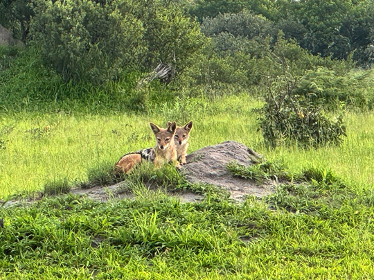 Chase Africa Safaris-鲁德普特必去景点