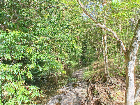 Wappa Dam-Yandina必去景点