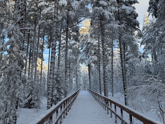 Ounasvaara Winter Trail-罗瓦涅米必去景点