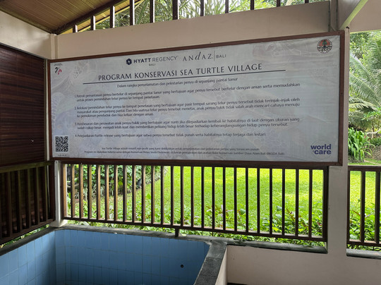 Sea Turtle Village-沙努尔必去景点