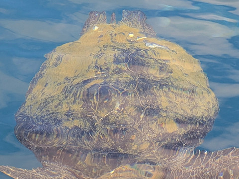 Aventuras La Plata-Puerto Lopez必去景点