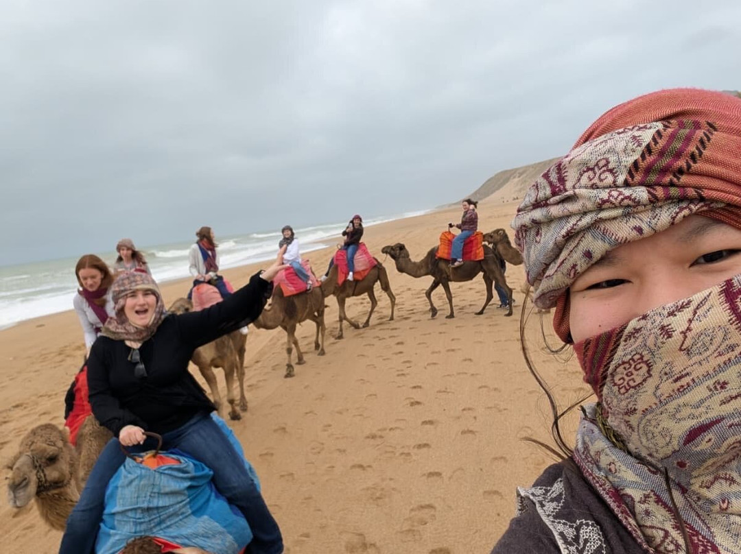 Citylife Madrid-马德里必去景点