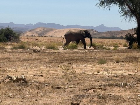 Wilderness Damaraland Camp-浴室