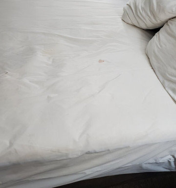 舒适套房酒店布鲁克- 沃斯堡西南主图