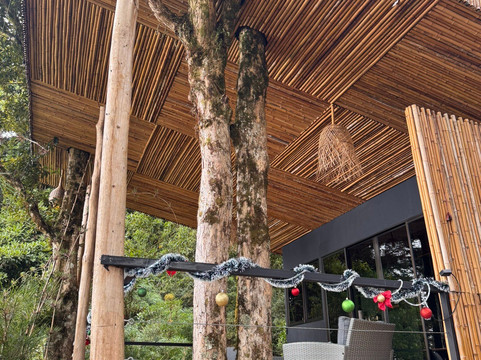 Cerro de la Muerte-圣何塞省必去景点