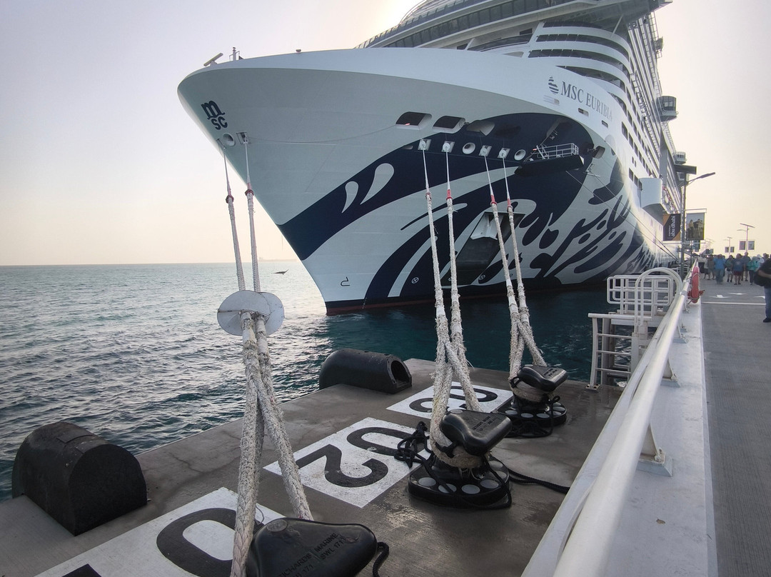 Sir Bani Yas Cruise Port-萨巴尼亚岛必去景点